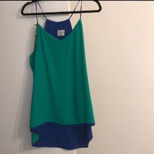 Express Barcelona Cami